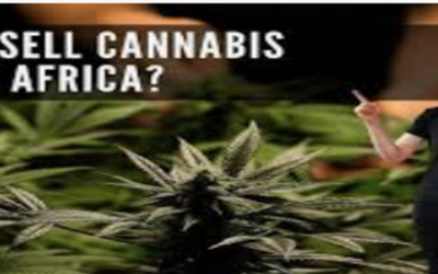 Start Cannabis Farming Now!