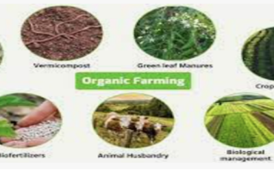 How to Start a Organic Farming Operation Now?