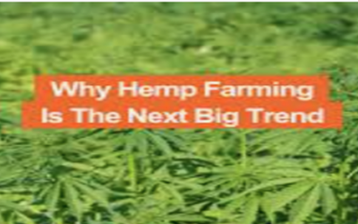How to Start Hemp Farming and Production?