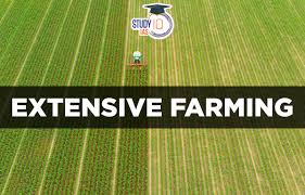 How to run a Extensive Farming Operation Successfully Now?