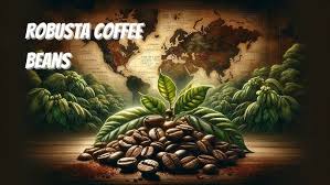 How to Start a Coffee Farming Operation Successfully Now?