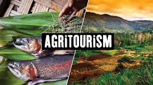 HOW TO START AGRITOURISM FOR EMERGING FARMERS SUCCESSFULLY?