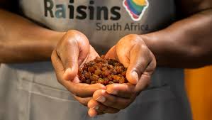 How to Start a Successful Raisin Farming Operation
